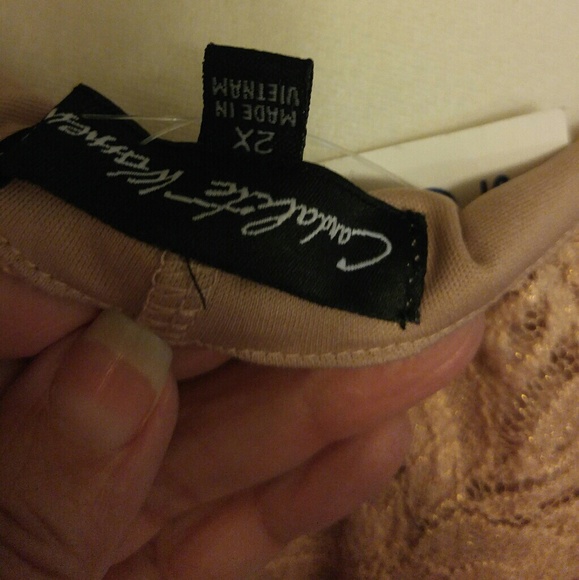 NWT Lace Dress - Picture 4 of 8